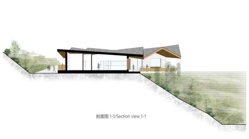 半山崖廢棄雞棚的暖心蛻變 小石村食品共享工廠與商品房代購代銷的鄉(xiāng)村振興新實踐