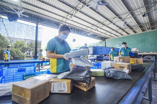 武義農(nóng)村電商 從“個富”到“共富”，商品房代購代銷開辟鄉(xiāng)村振興新路徑