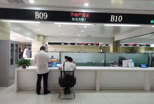 辛集市1單位1個(gè)人榮膺先進(jìn)集體與先進(jìn)工作者稱(chēng)號(hào)，廣州勞務(wù)服務(wù)合作成果顯著